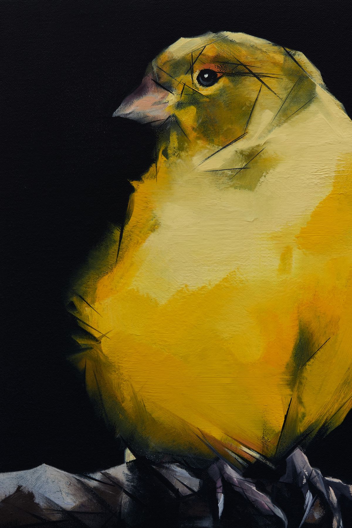 Judo-House part 9 (birdland)