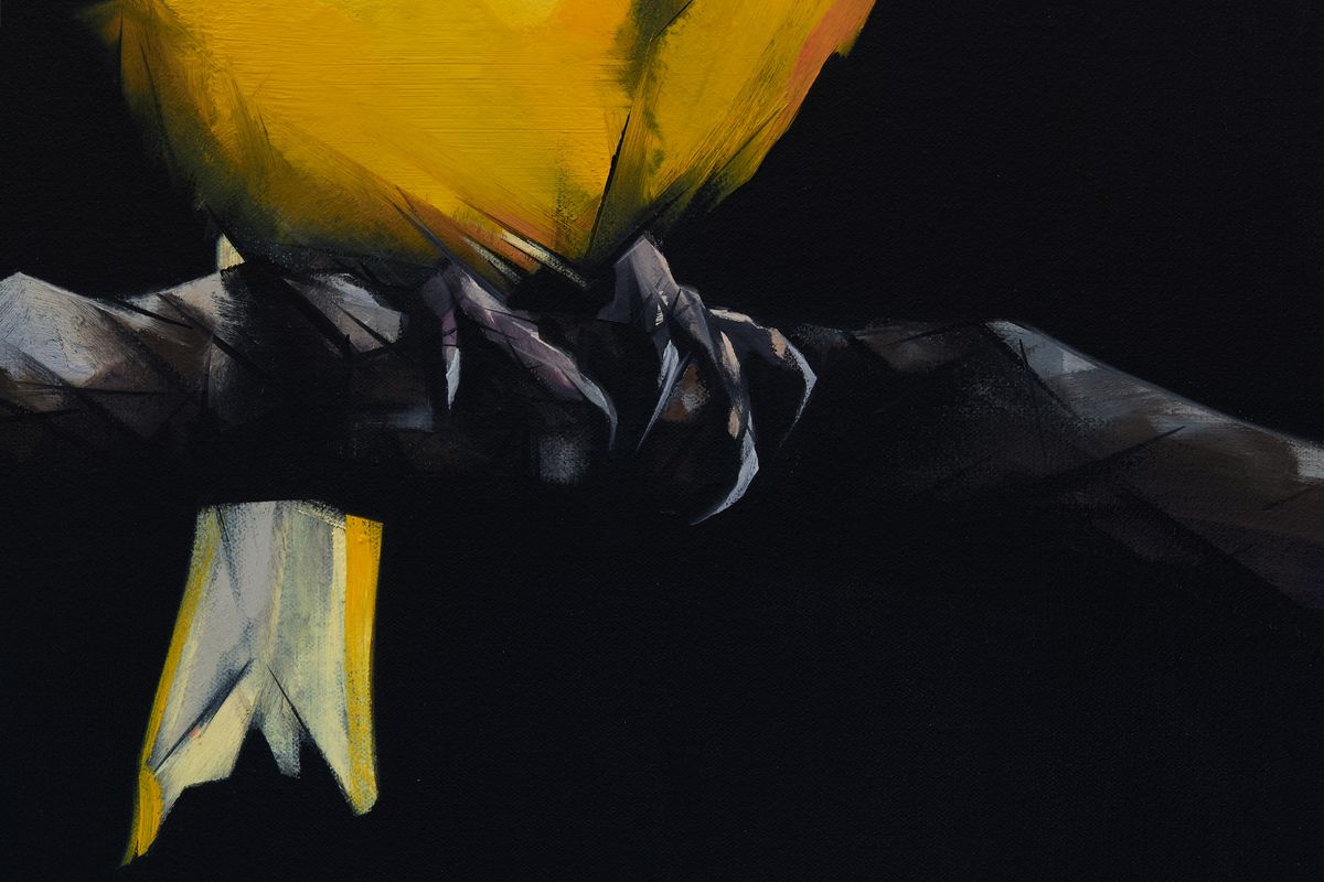 Judo-House part 9 (birdland)