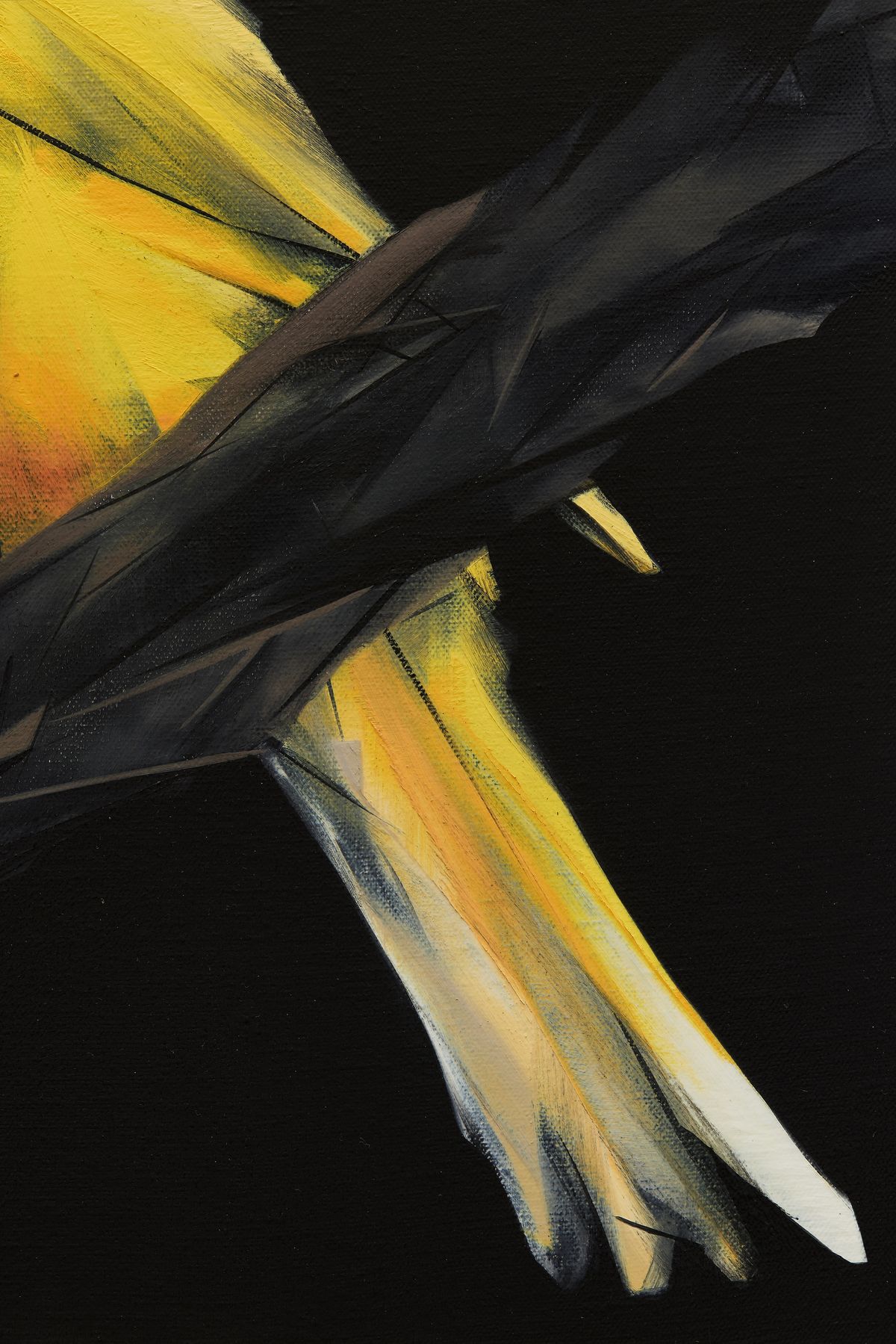 Judo-House part 9 (birdland)