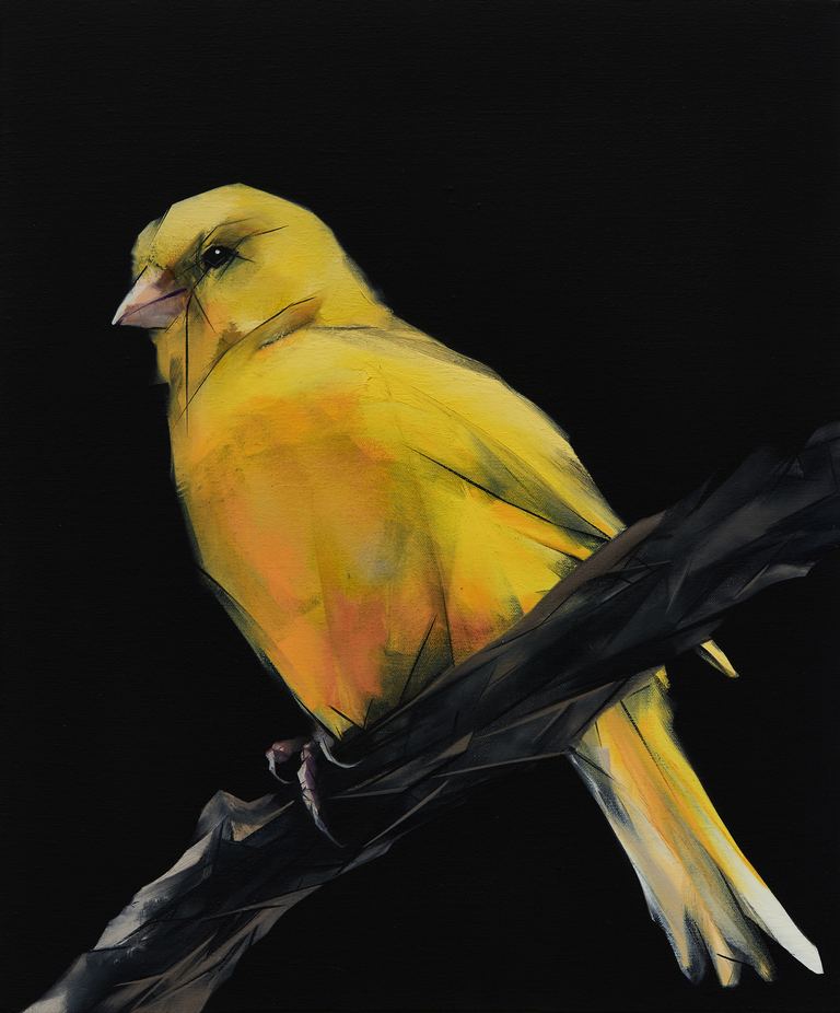 Nigel Milsom, Judo-House part 9 (birdland), 2020