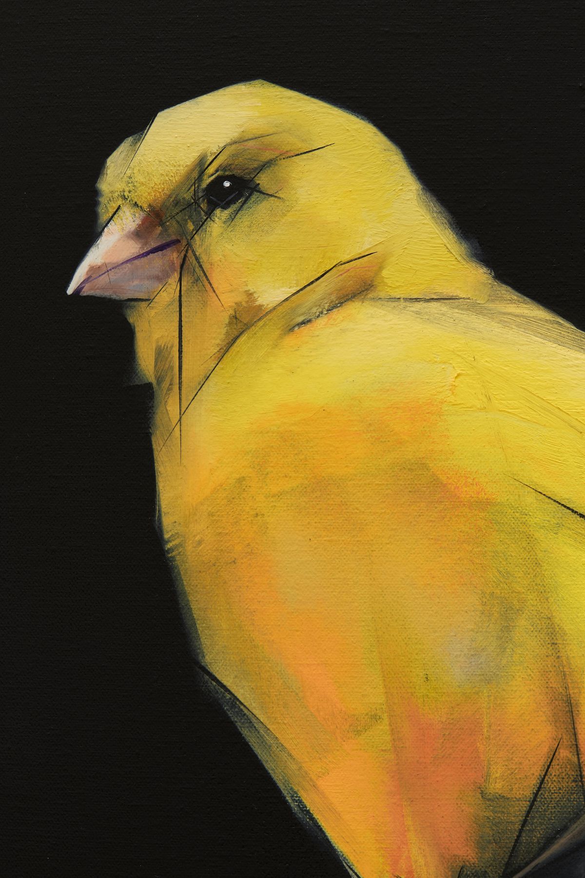 Judo-House part 9 (birdland)