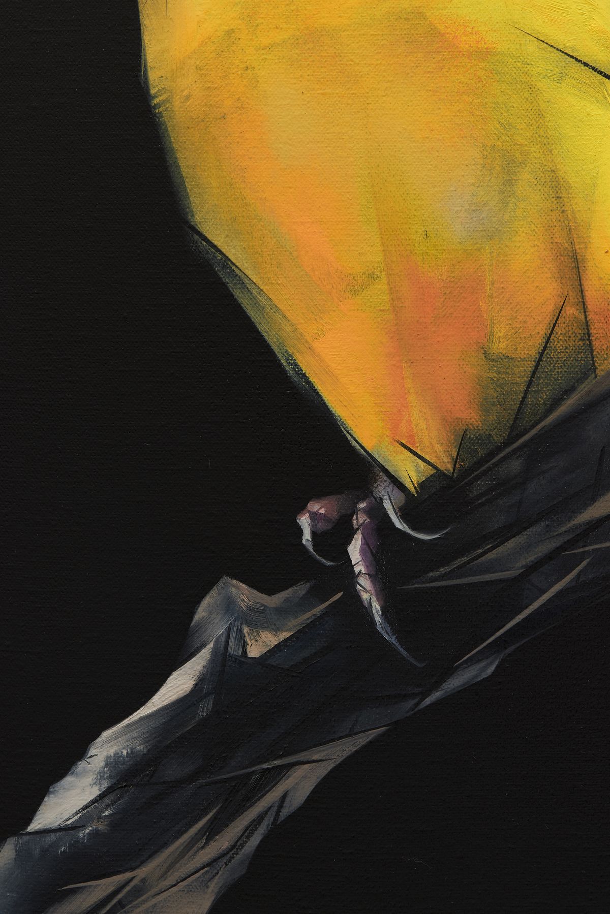 Judo-House part 9 (birdland)