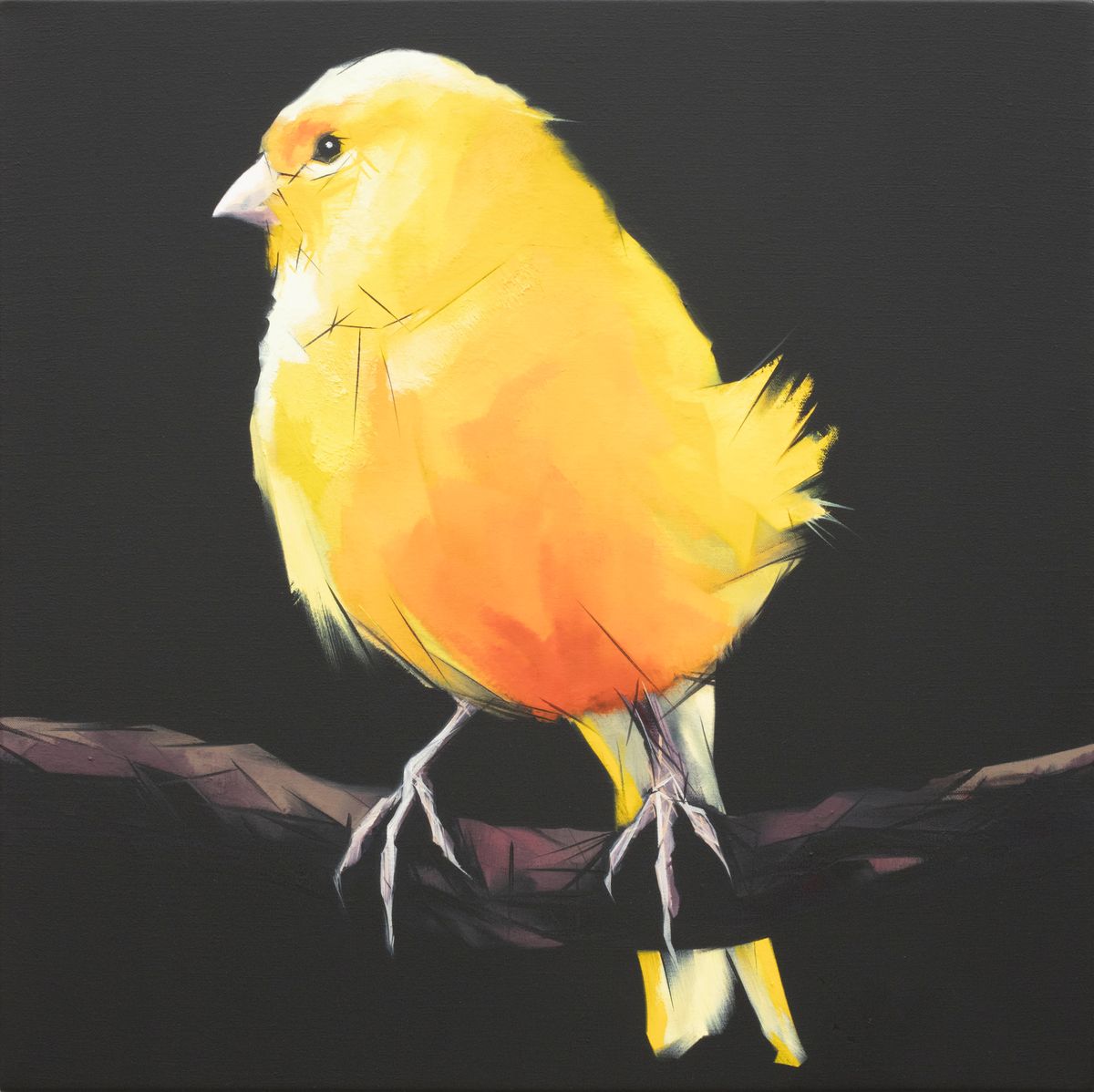 Judo-House part 9 (birdland)