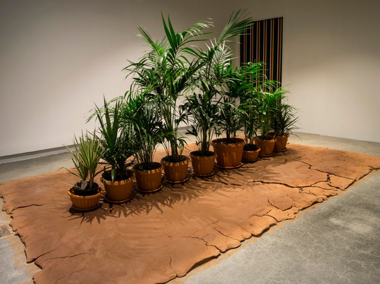 Archie Moore, Camera Lucida (Light Room), 2018