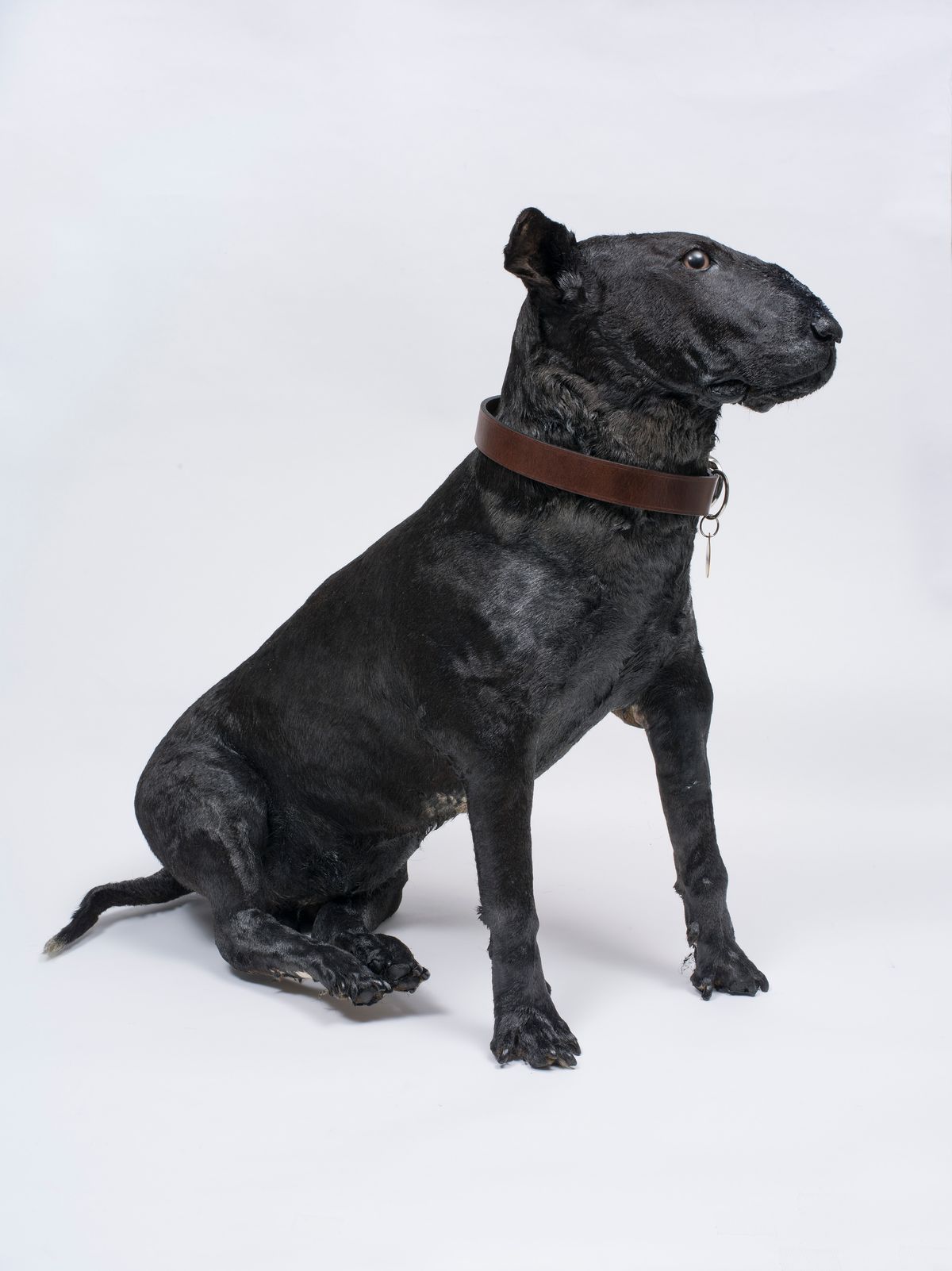 National Artist's Self-portrait Prize