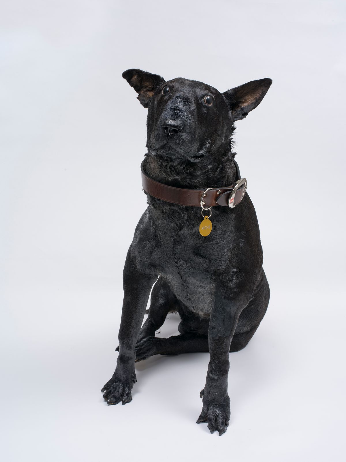 National Artist's Self-portrait Prize