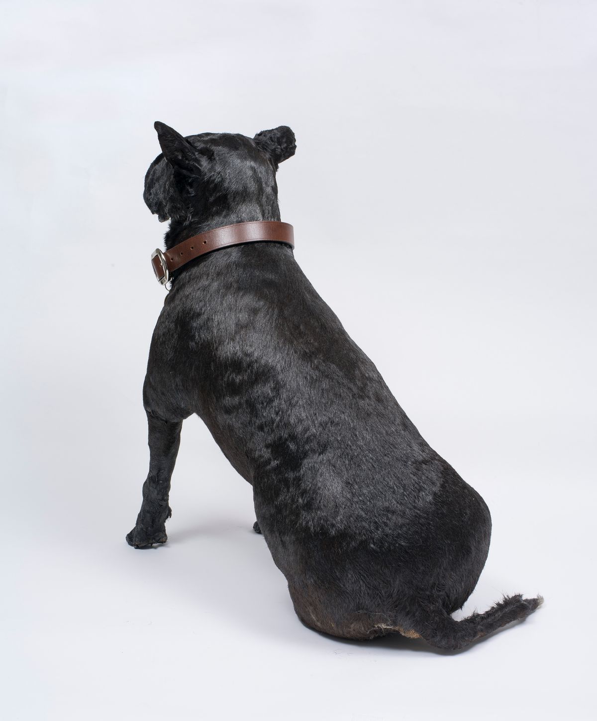 National Artist's Self-portrait Prize