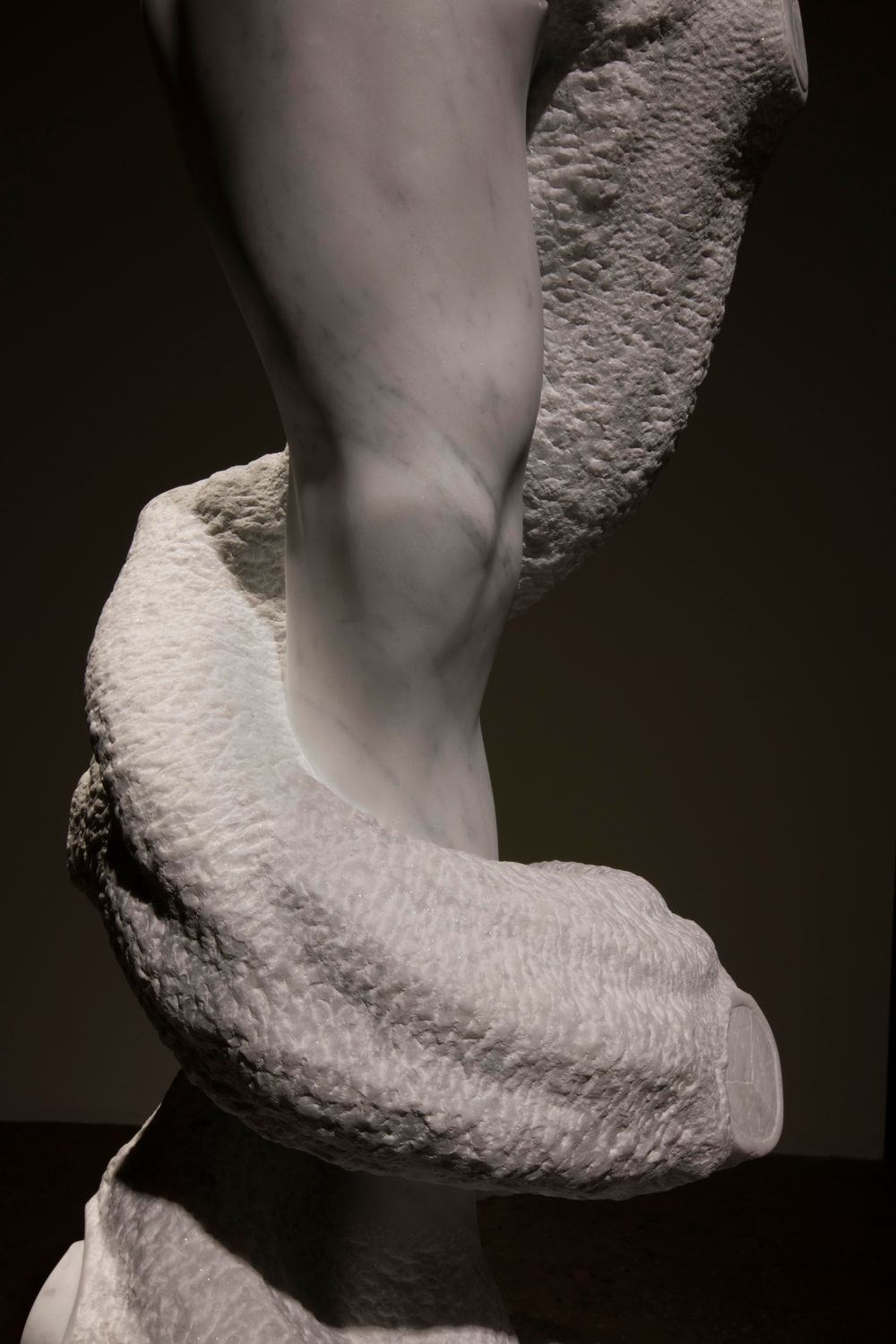 Stephen Ralph: Stardust