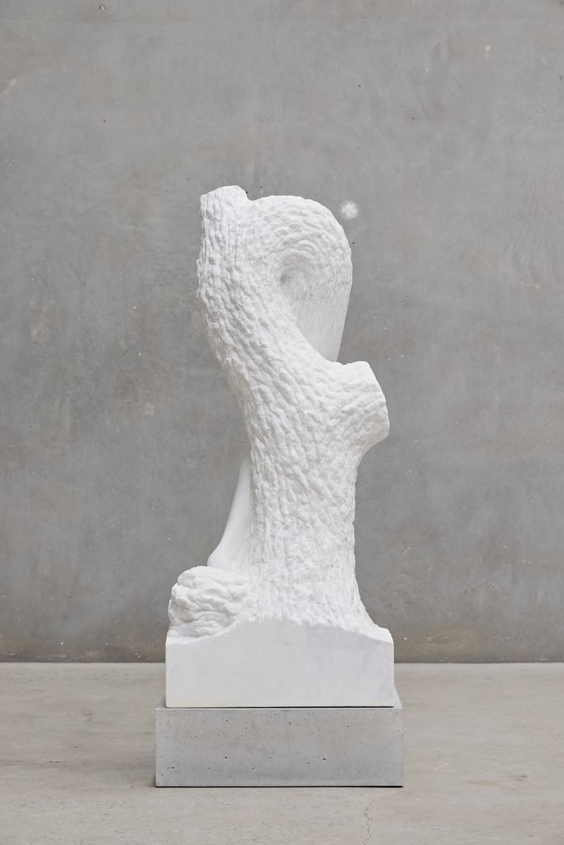 Stephen Ralph, More dust, 2020