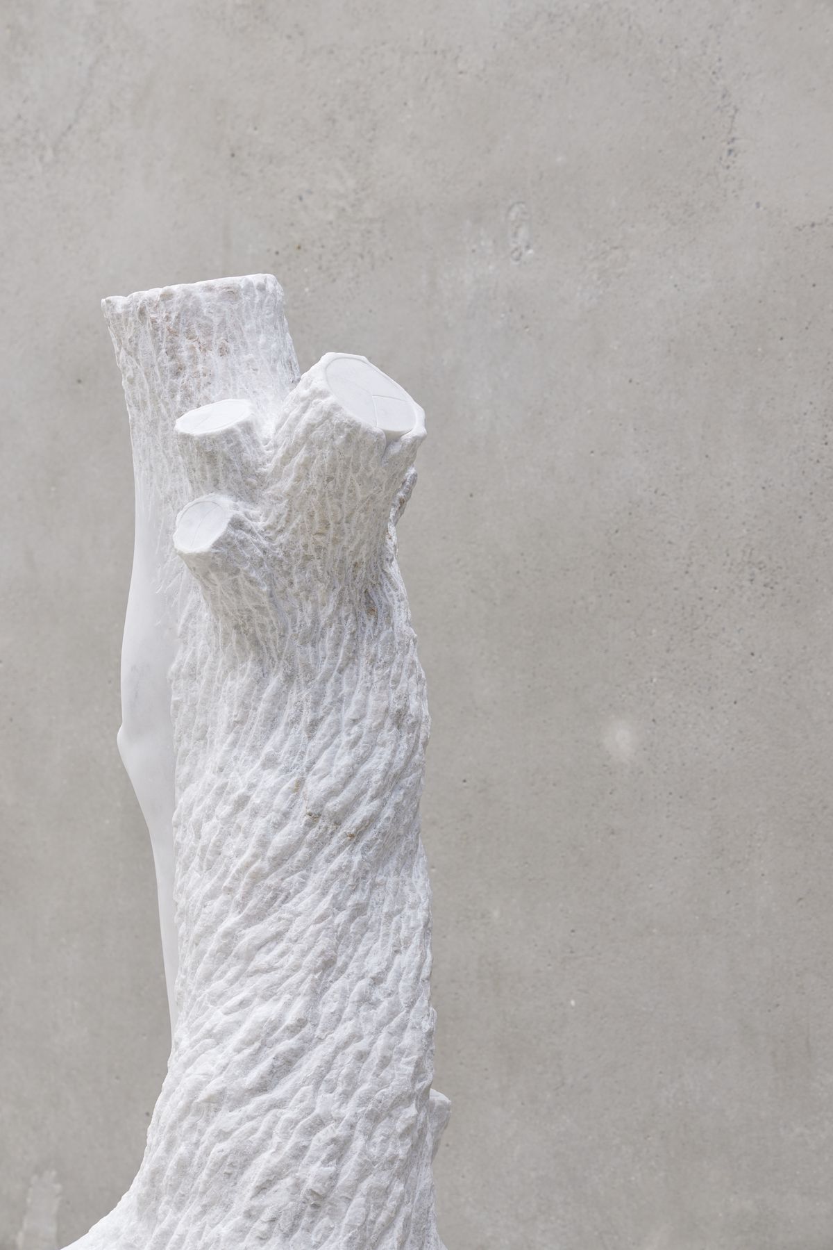 Stephen Ralph: Life is long