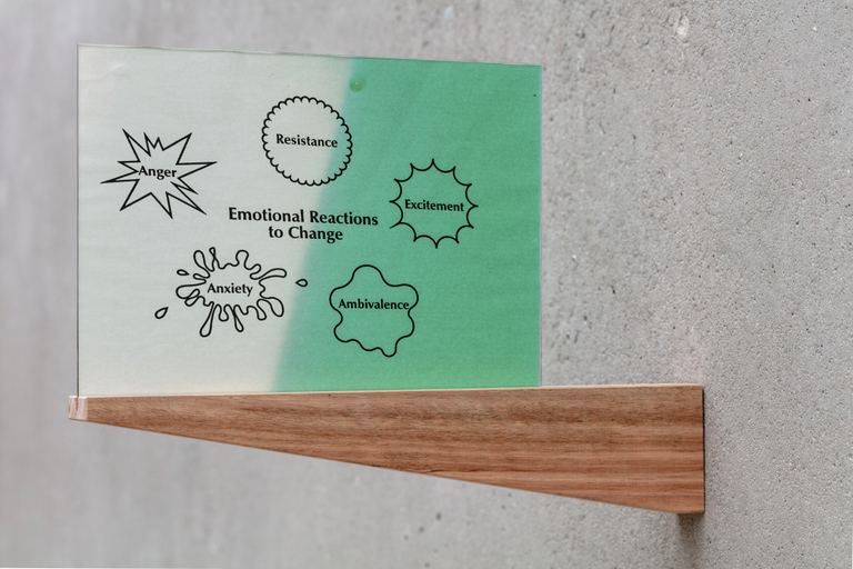 Agatha Gothe-Snape, Emotional Reactions to Change, 2024