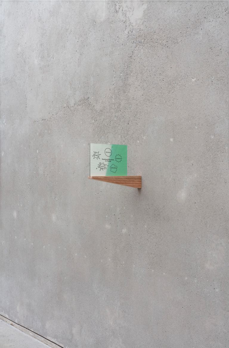 Agatha Gothe-Snape, Emotional Reactions to Change, 2024