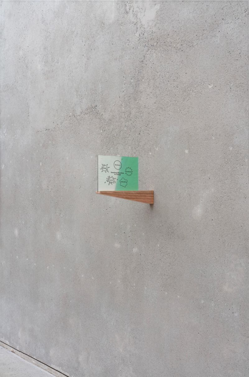 Agatha Gothe-Snape, Emotional Reactions to Change, 2024