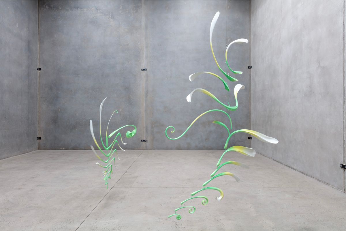 Laschamp cycles: Aurora