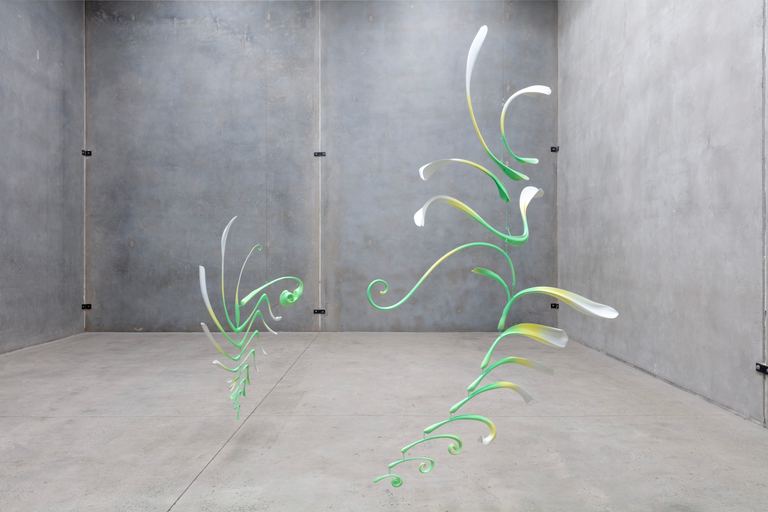 Francis Carmody, Laschamp cycles: Aurora, 2024