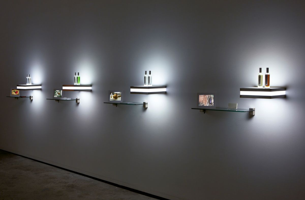 Archie Moore: Les Eaux d'Amoore