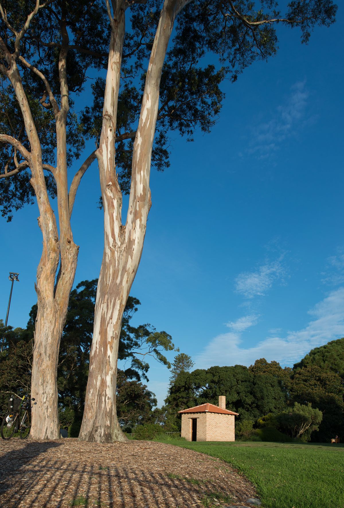 20th Biennale of Sydney: The future is already here — it’s just not evenly distributed