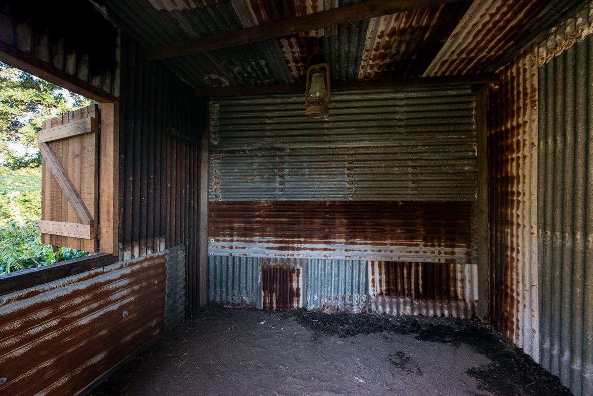 20th Biennale of Sydney: The future is already here — it’s just not evenly distributed