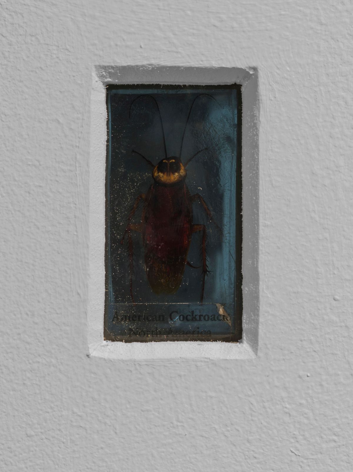 Archie Moore: 1970-2018