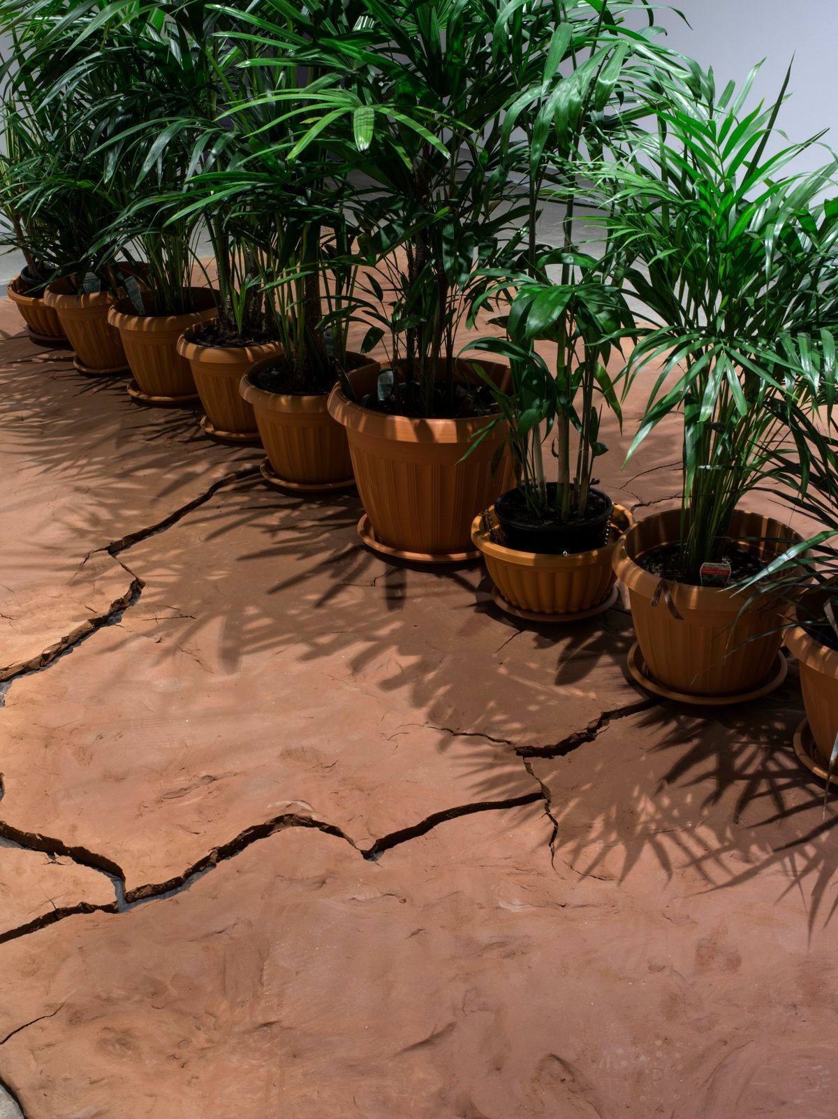 Archie Moore: 1970-2018