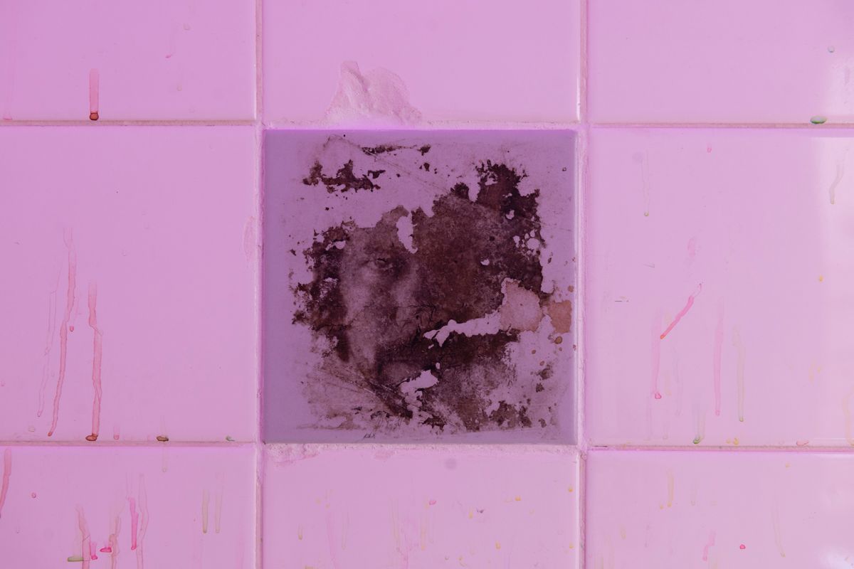 Archie Moore: HouseShow