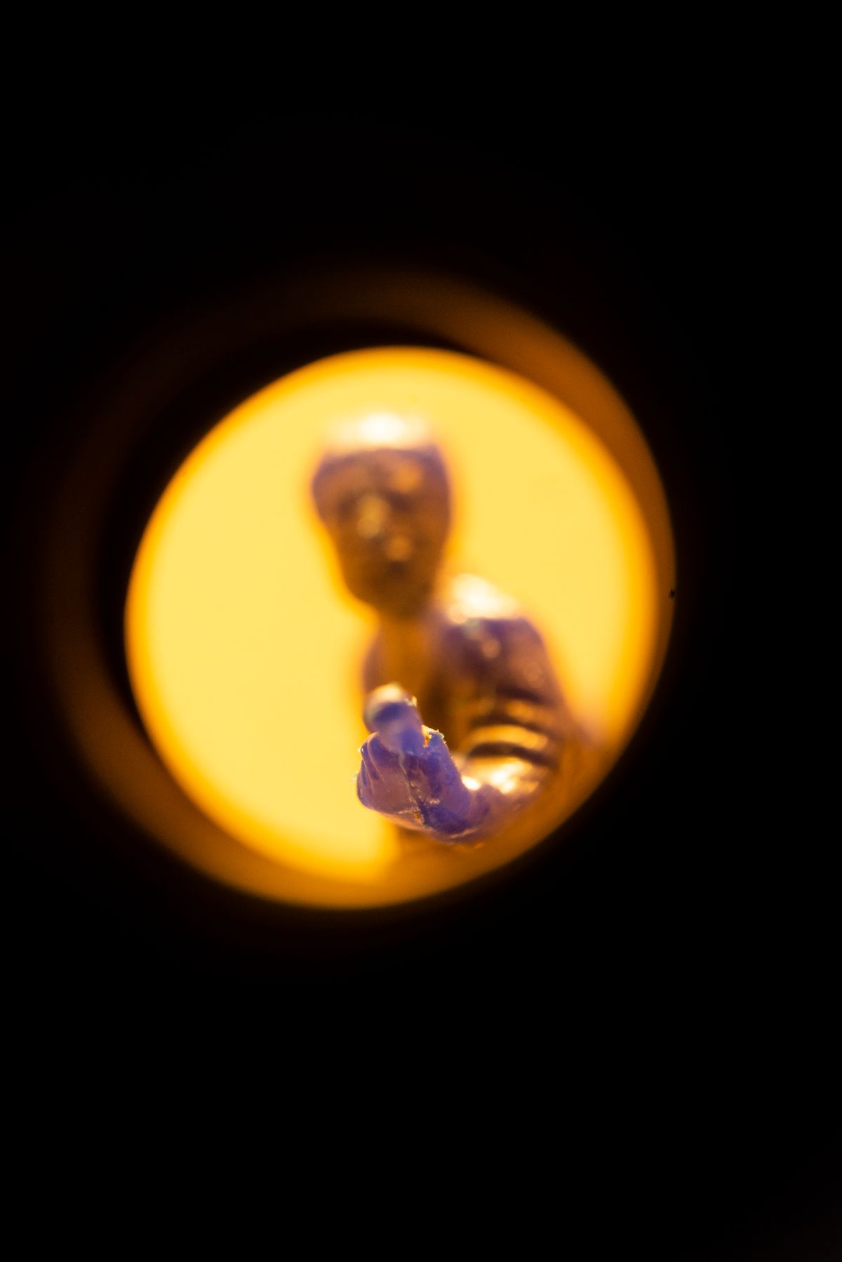 Archie Moore: HouseShow