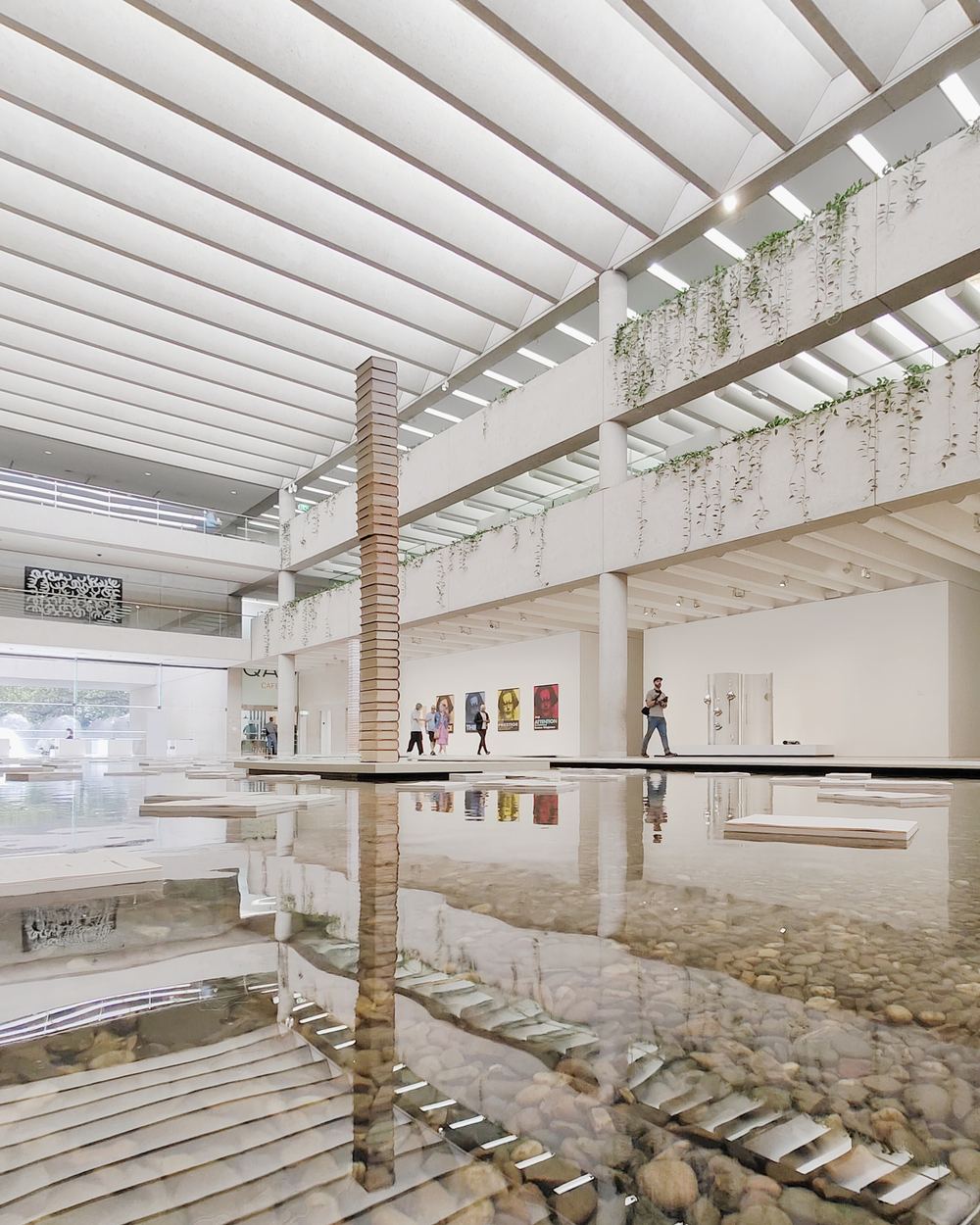 Embodied Knowledge: Queensland Contemporary Art