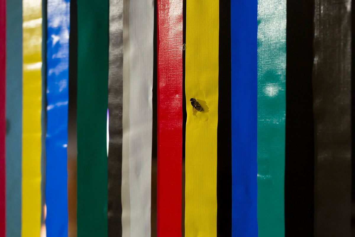 Archie Moore: Dwelling (Victorian Issue)