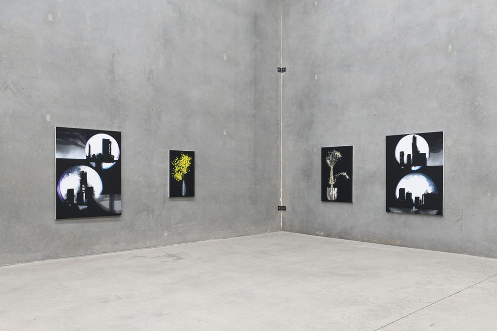 Explore Sydney Contemporary