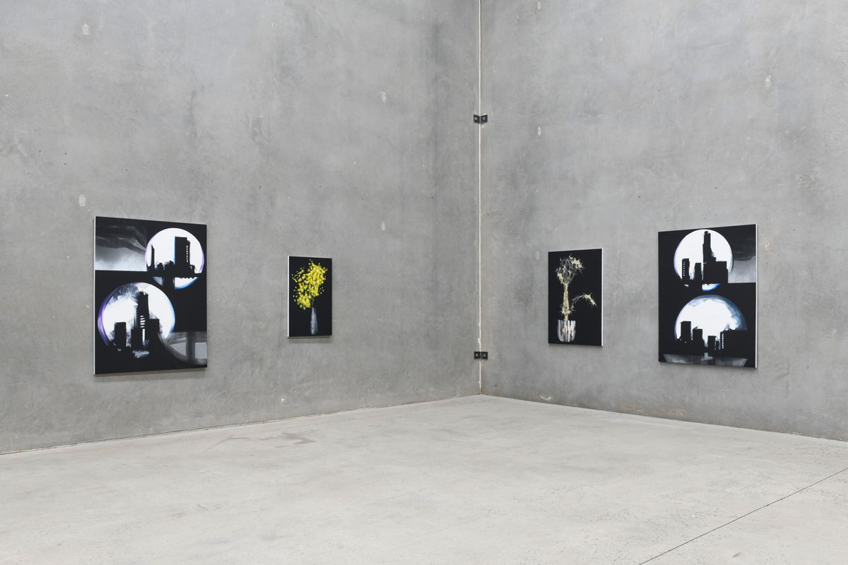 Explore Sydney Contemporary