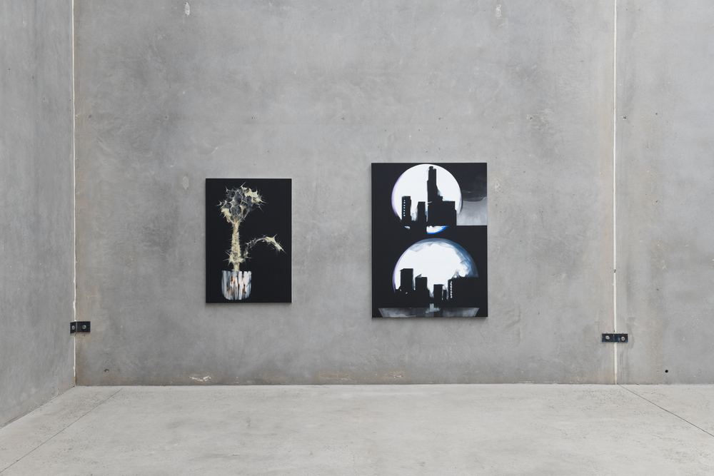 Explore Sydney Contemporary