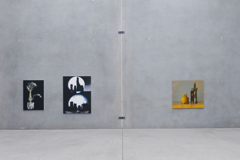 Explore Sydney Contemporary