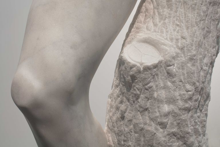 Stephen Ralph, A tree, and he shall stand up in it, 2019