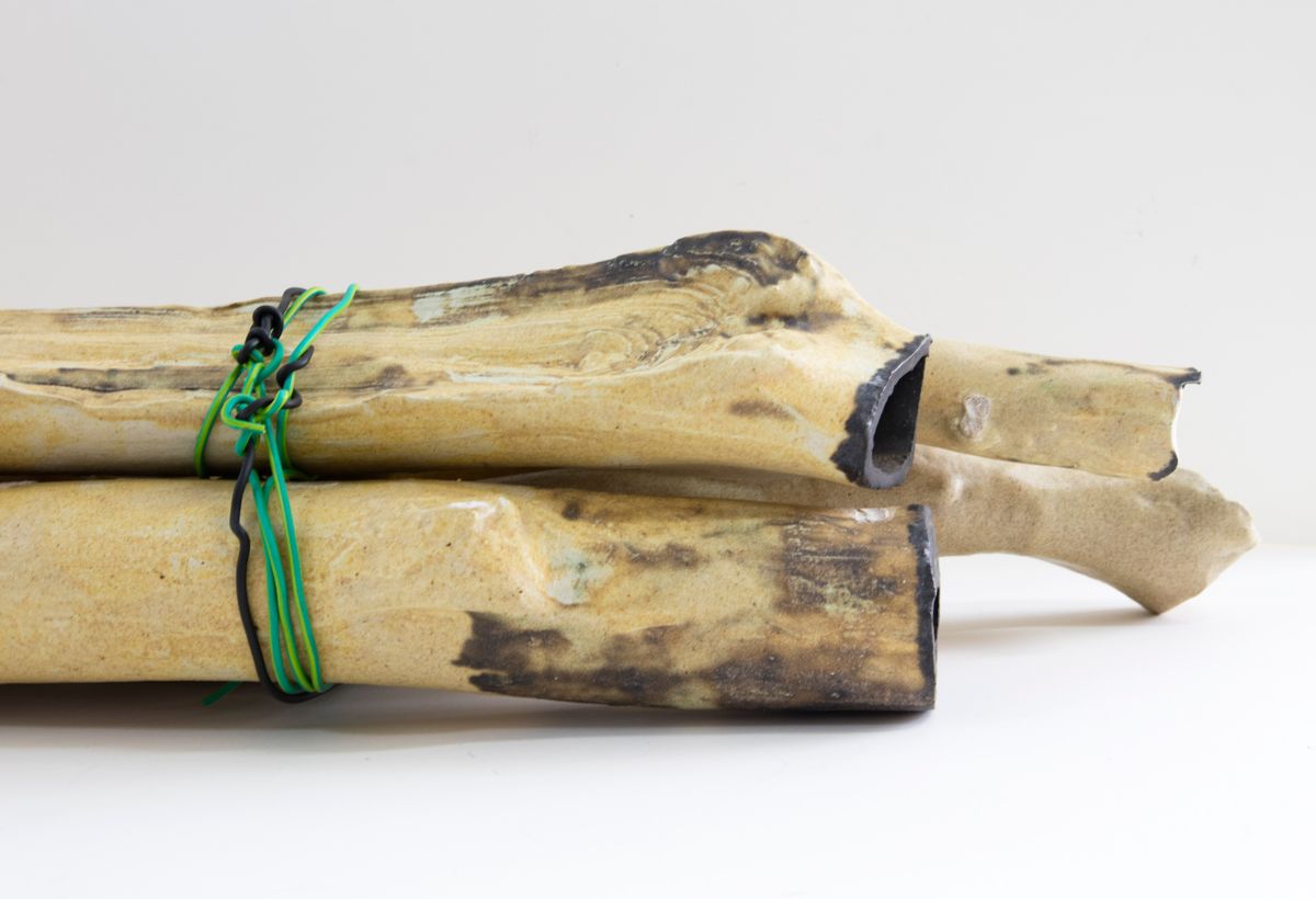 Bundle of Ntaria branches 5