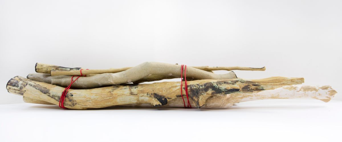 Bundle of Ntaria branches 6