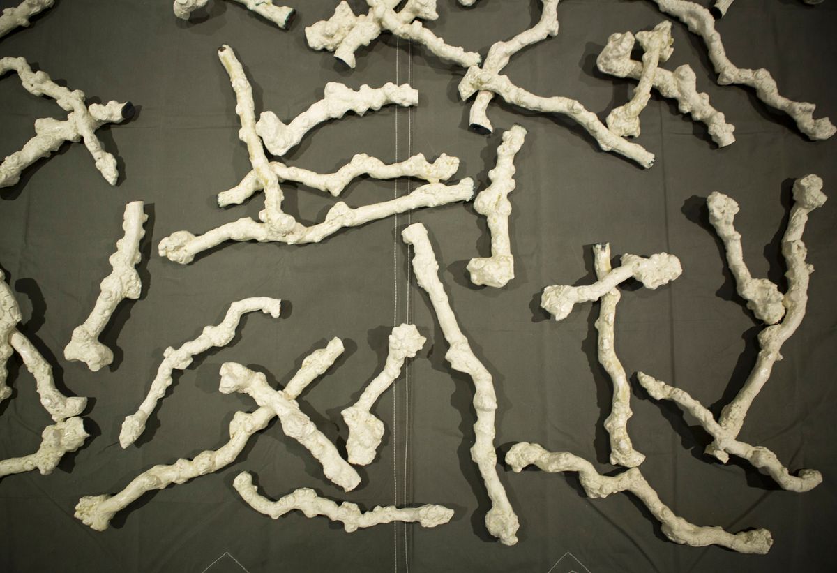 The 2017 Sidney Myer Fund Australian Ceramic Award