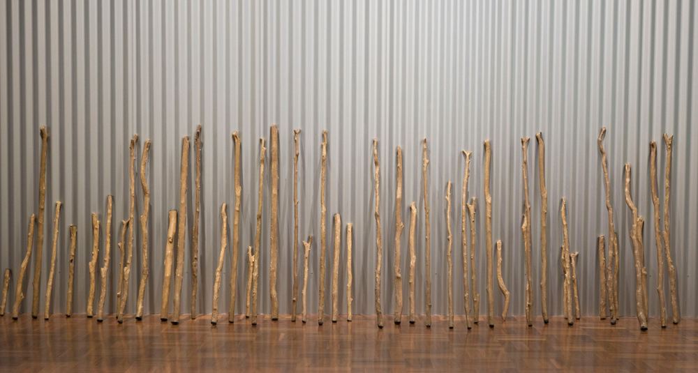 The 2017 Sidney Myer Fund Australian Ceramic Award
