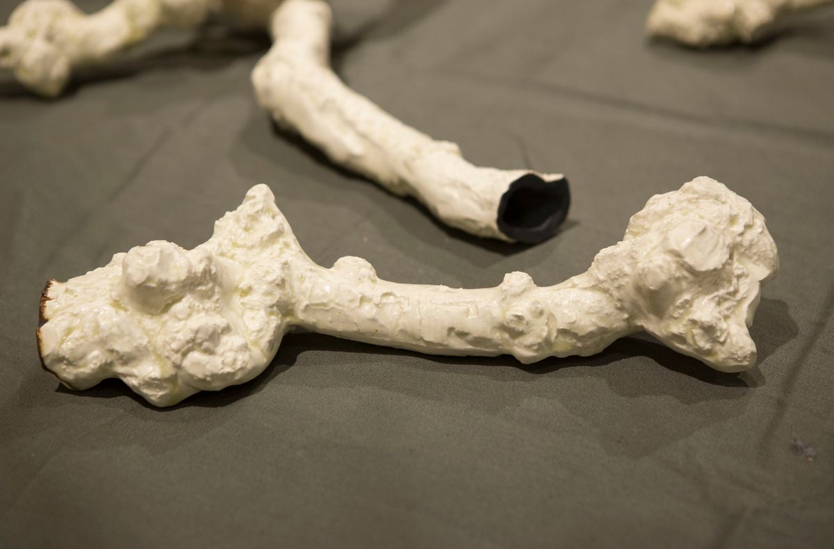 The 2017 Sidney Myer Fund Australian Ceramic Award