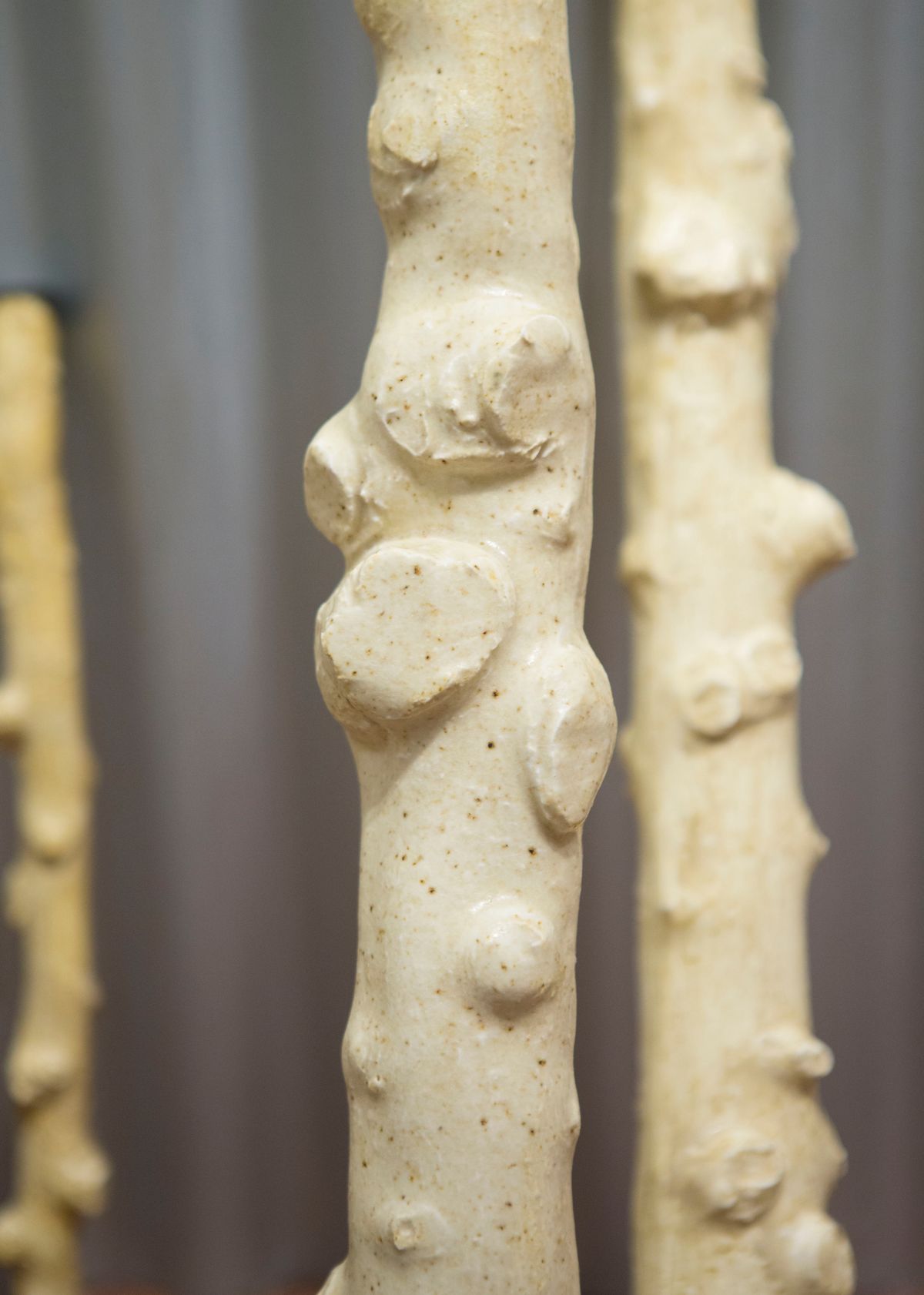 The 2017 Sidney Myer Fund Australian Ceramic Award