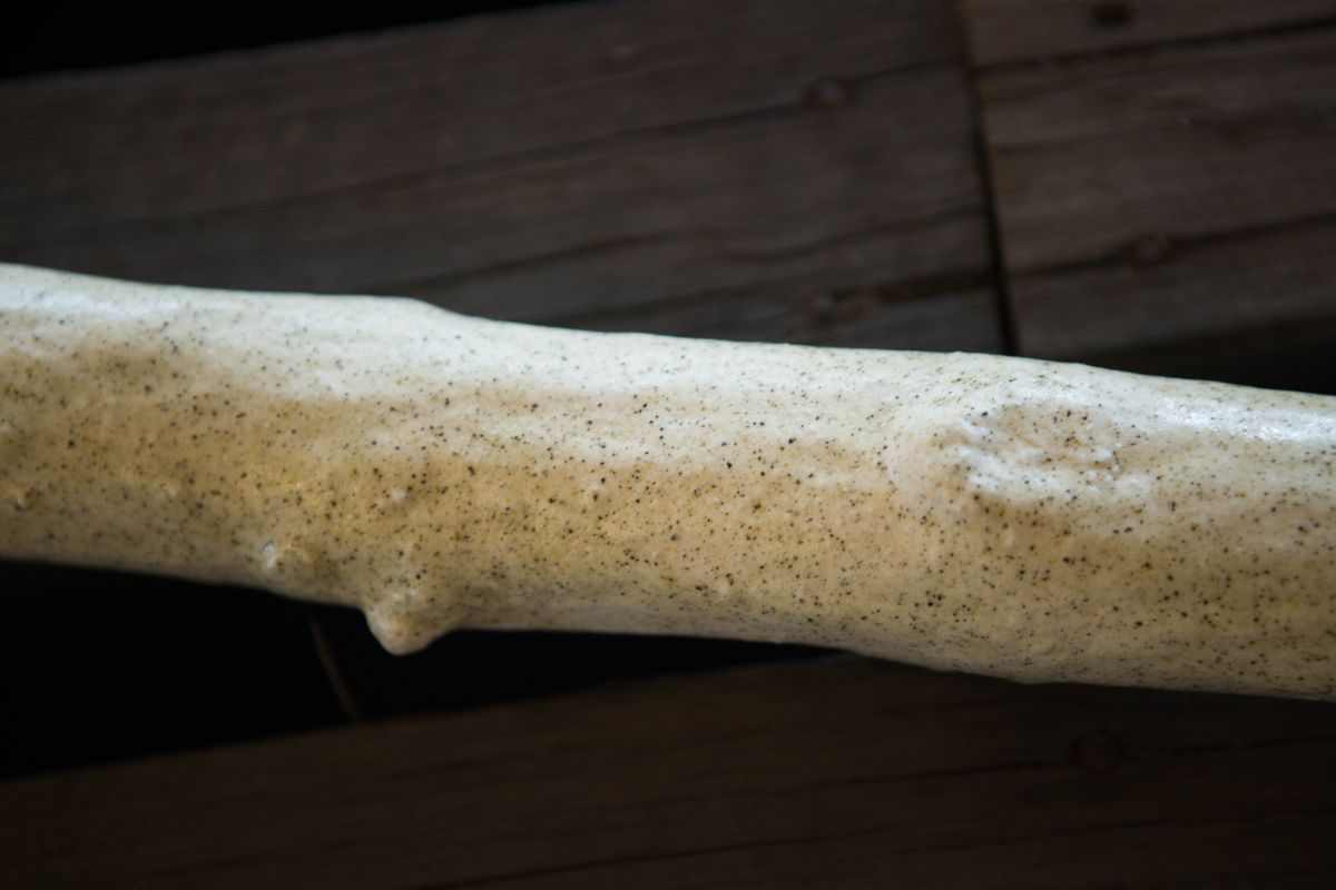 21st Biennale of Sydney SUPERPOSITION: Equilibrium & Engagement