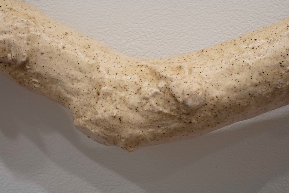 Yasmin Smith: Drowned River Valley