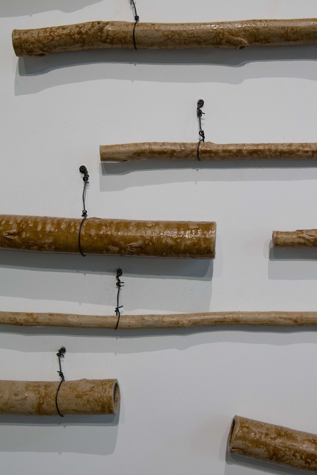 Cosmopolis #1.5: Enlarged Intelligence