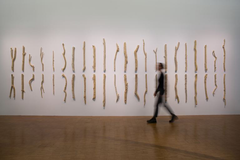 Yasmin Smith, Seine River Basin, 2019