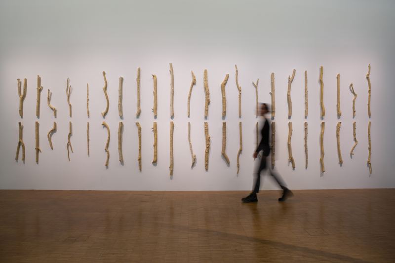 Yasmin Smith, Seine River Basin, 2019
