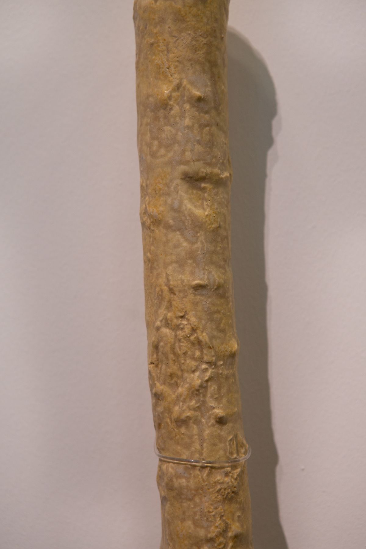 Cosmopolis #2: Rethinking the Human