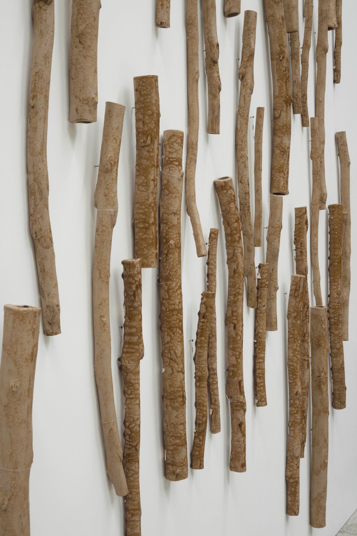 Flooded Rose Red Basin (Flooded Gum)