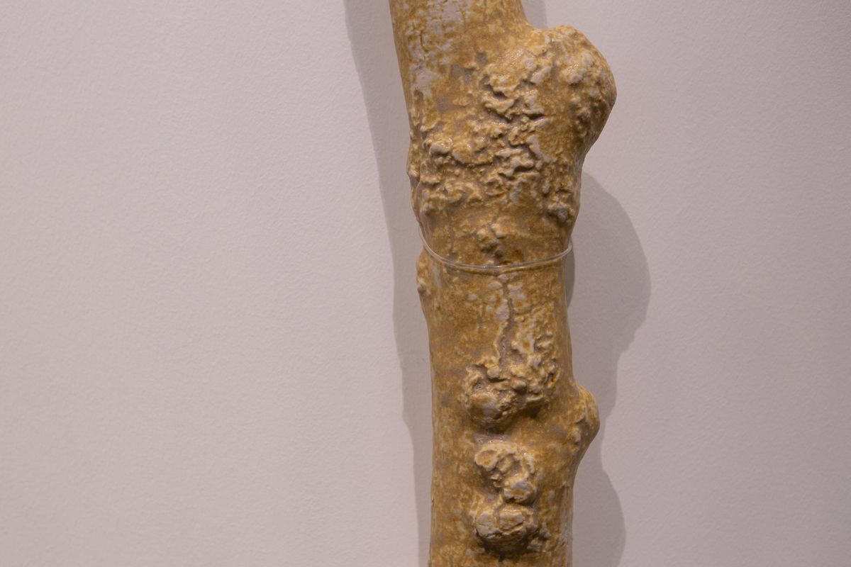 Cosmopolis #2: Rethinking the Human