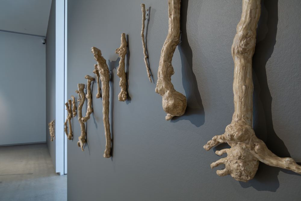 TarraWarra Biennial 2021: Slow Moving Waters