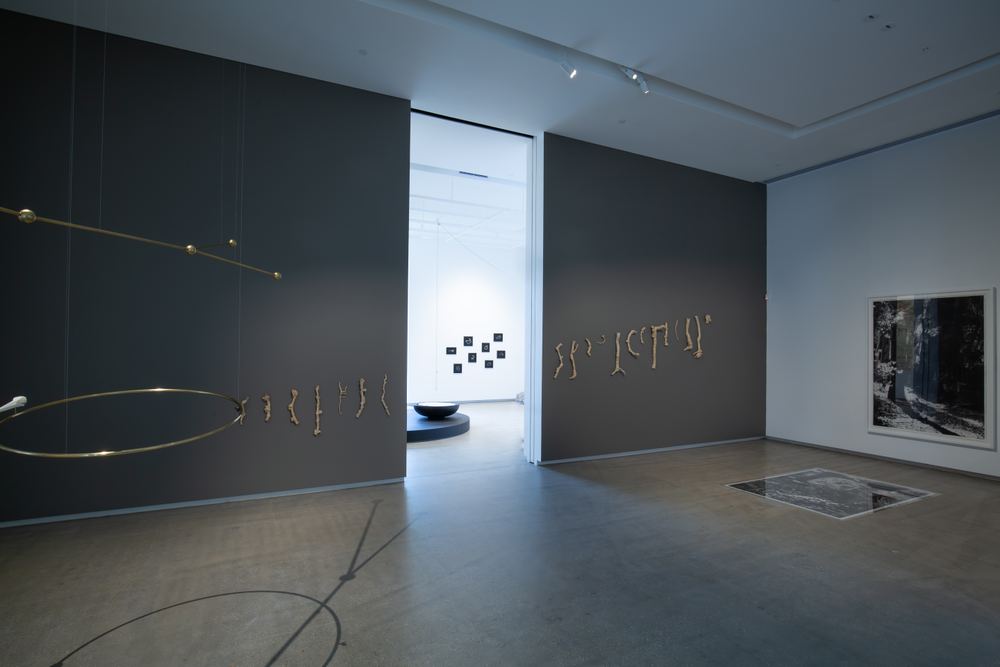 TarraWarra Biennial 2021: Slow Moving Waters