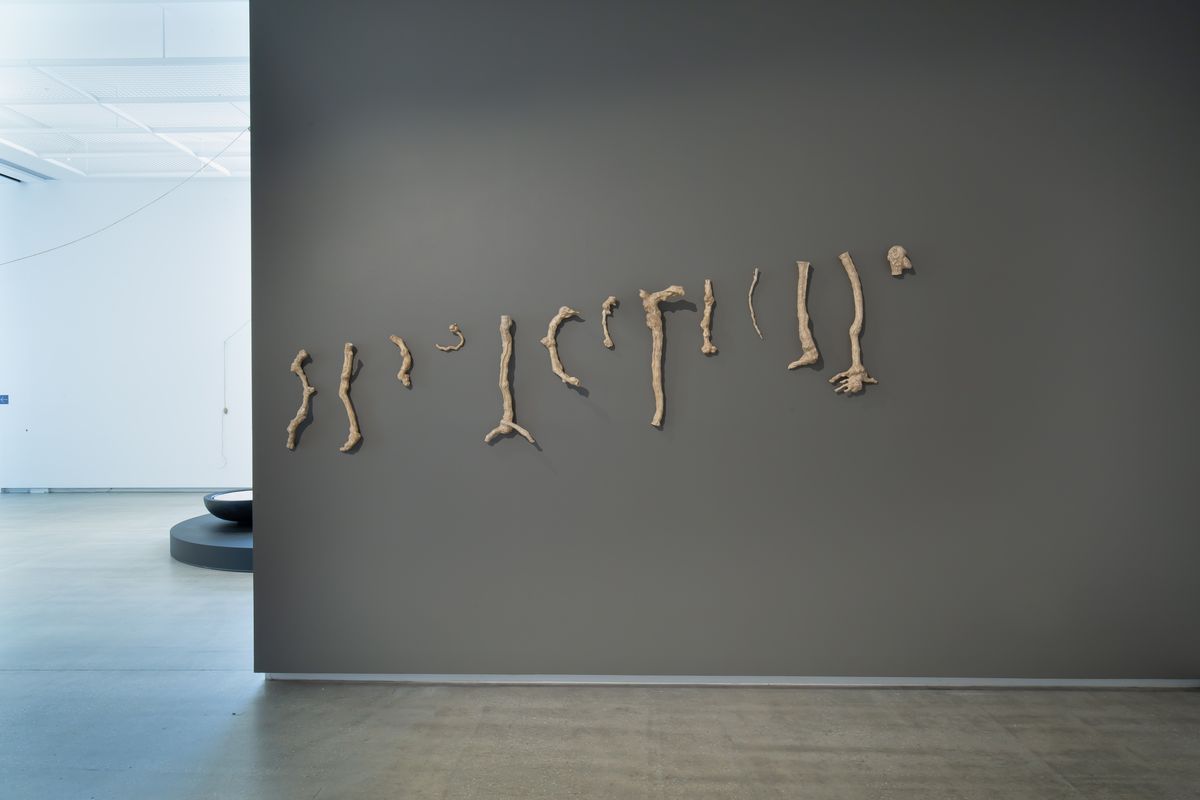 TarraWarra Biennial 2021: Slow Moving Waters